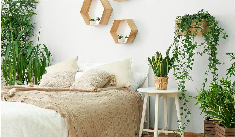 Cómo afecta dormir con plantas en tu habitación
