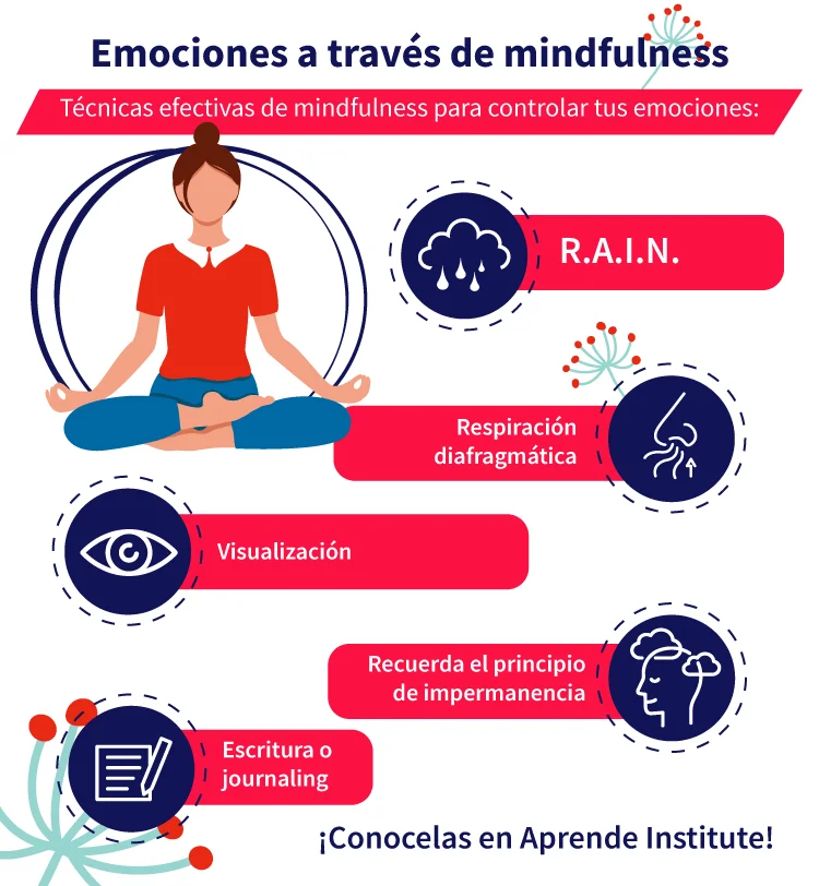 Eleva tu calidad de vida con la regulación emocional