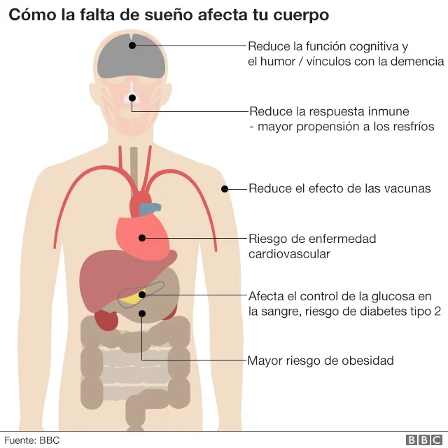 ¿Exceso de sueño perjudica tu salud?