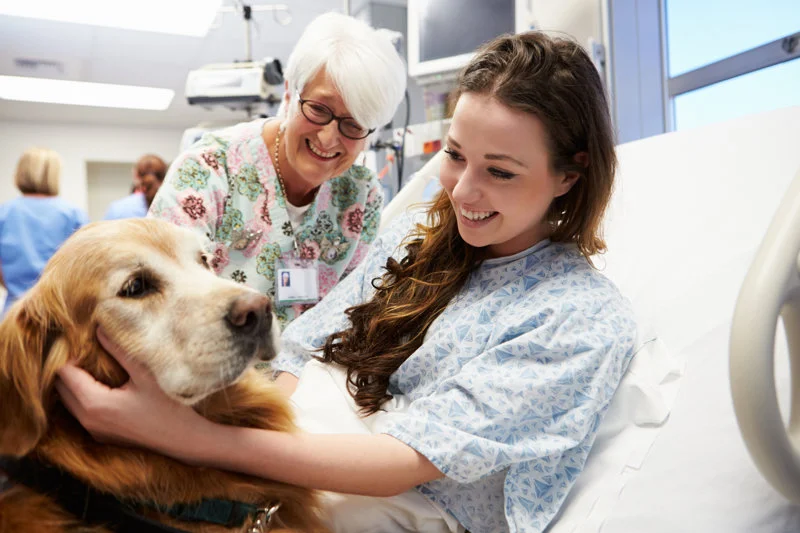Valor emocional y mental de la terapia con perros