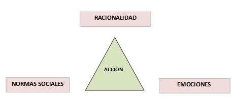 Variedades de racionalidad: una guía esencial