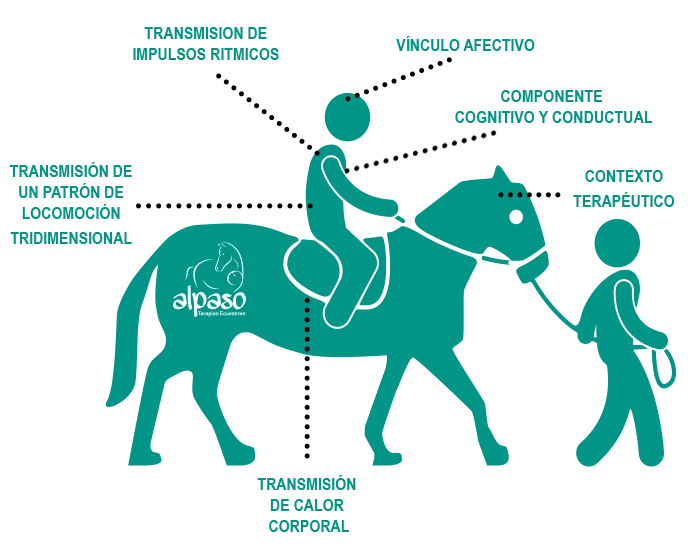 Ventajas de la Psicoterapia Equina Asistida