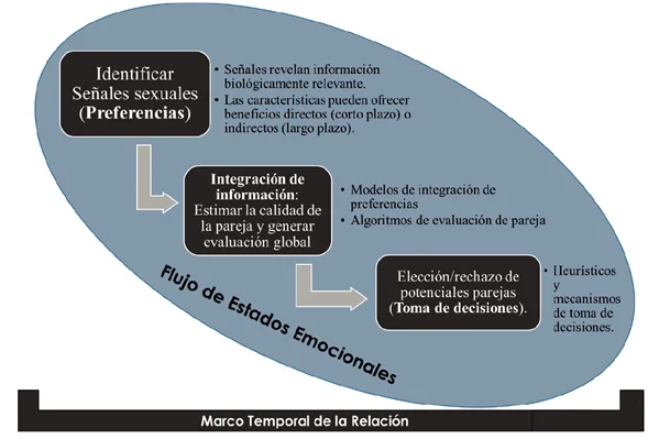 Revelan la hipótesis del hijo atractivo