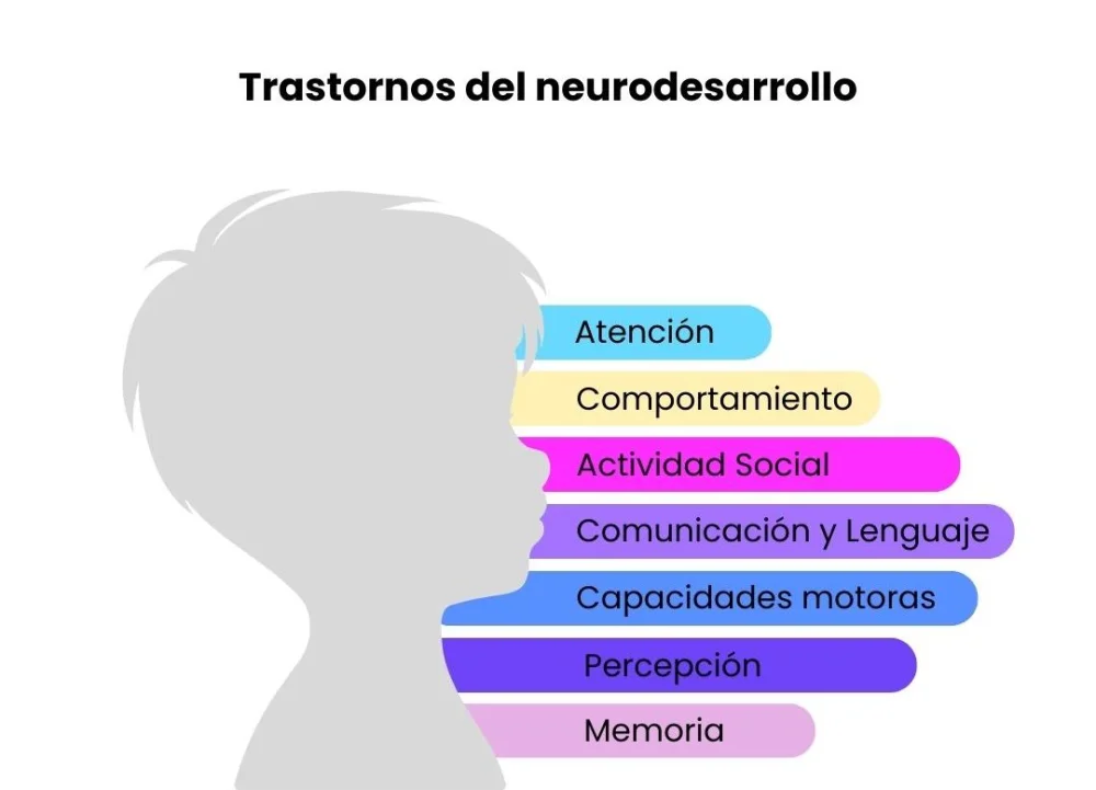 Clasificación de los trastornos del neurodesarrollo