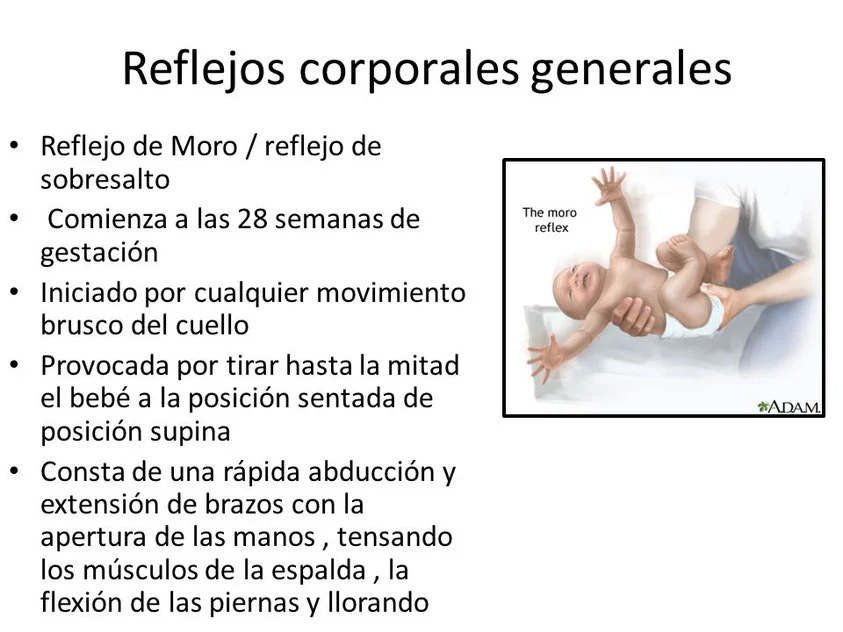 El Fenómeno del Reflejo de Moro: Qué Es y Cómo Funciona