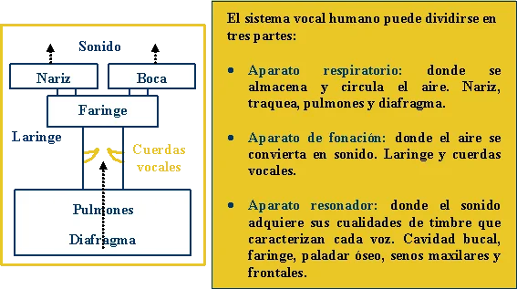 El surgimiento de la comunicación vocal humana