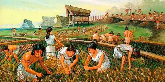 Historia de los Comienzos de la Agricultura