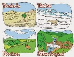 La Esencia Oculta de la Biocenosis