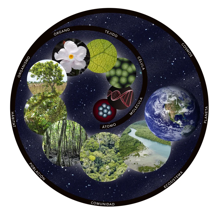 Secretos del potencial biótico revelados en la naturaleza