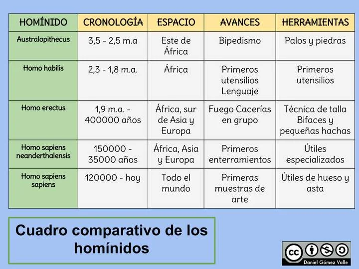 Contrastes entre homininos y homínidos