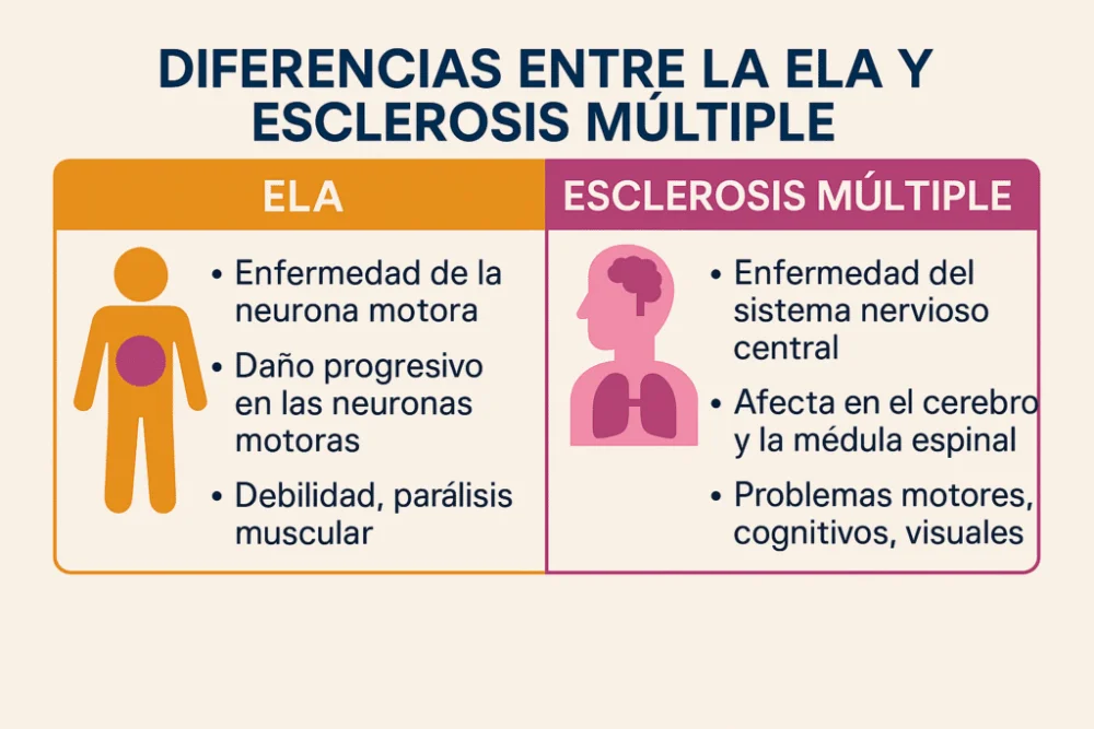 Entendiendo la Esclerosis Lateral Amiotrófica: Una Visión Profunda