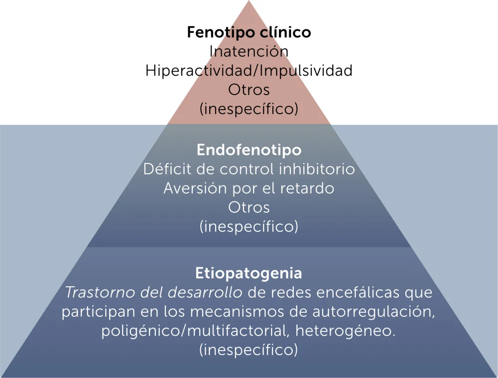 Rasgos Positivos del TDAH: Más Allá del Déficit Atencional