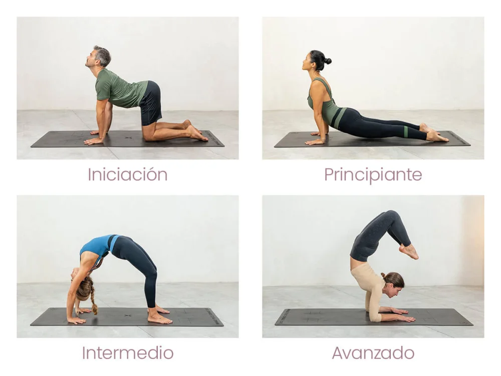 Variedades de Yoga para Transformar tu Vida