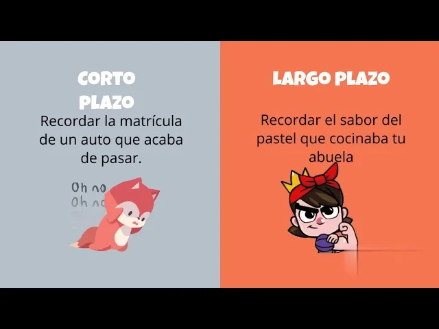 Contraste entre memoria a corto plazo y memoria de trabajo