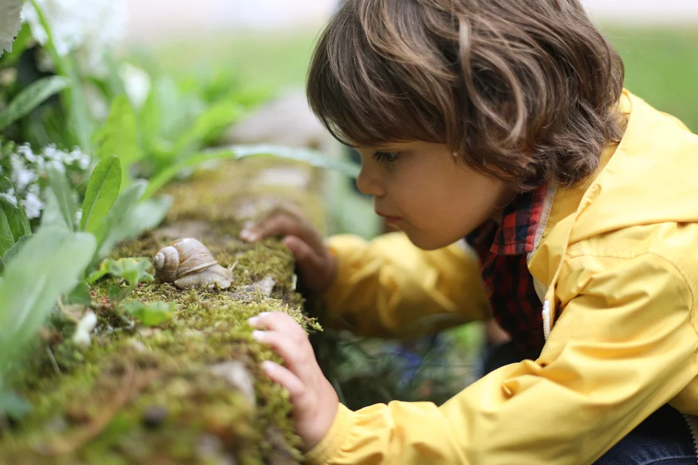 Escuelas Verdes: Impacto de la Vegetación en el Desarrollo Cognitivo