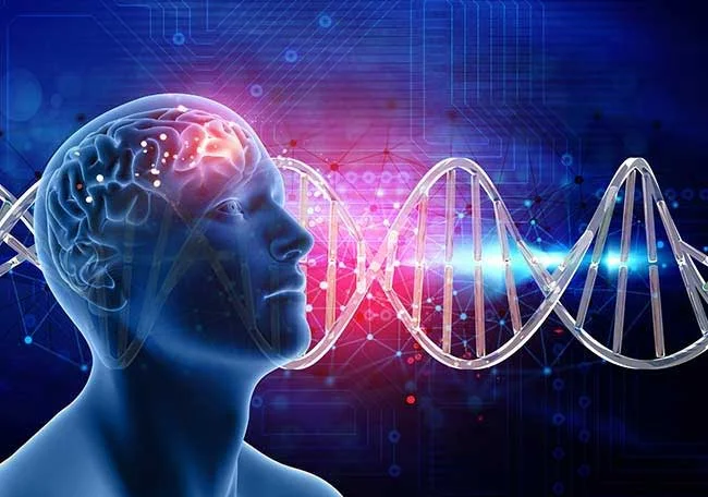 Impacto Hormonal del Miedo en el Organismo
