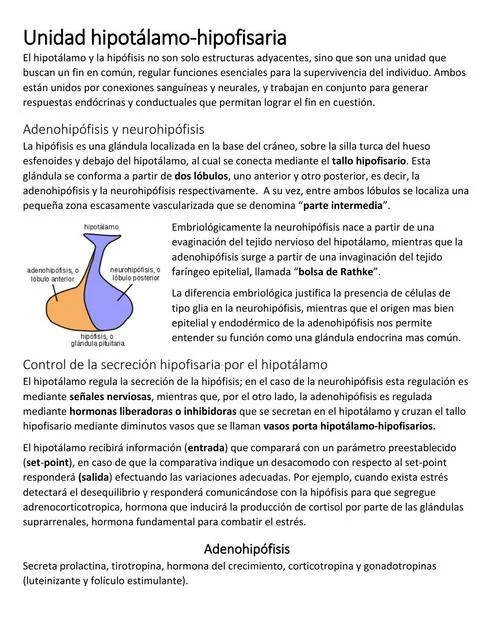Secretos y Funciones Esenciales de la Adenohipófisis