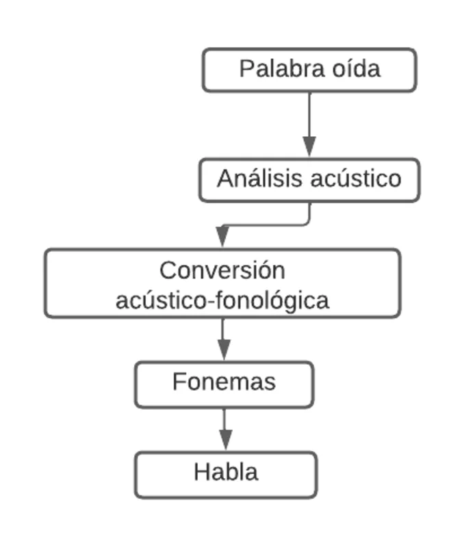 Secretos y soluciones para la bradilalia
