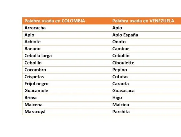 Vocabulario y Expresiones Típicas de Venezuela