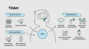 Claves para distinguir TDAH de otros trastornos