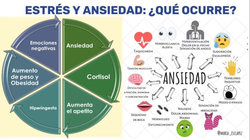 El impacto de las hormonas en la tristeza