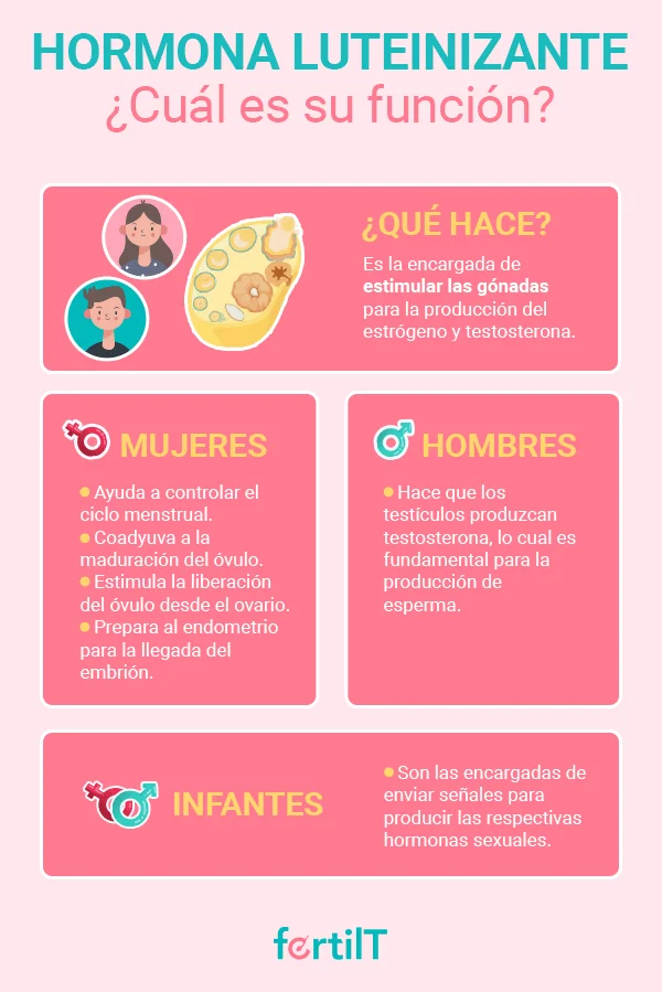 Todo sobre la hormona luteinizante: funciones y efectos