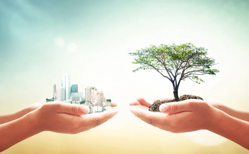 Claves para Entender Sustentable y Sostenible