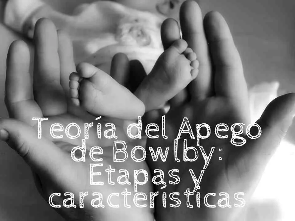 Conecta Padres e Hijos: La Esencia de la Teoría del Apego