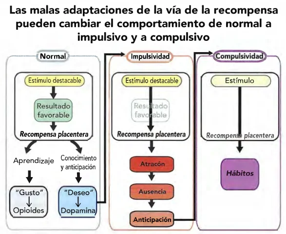 Impulsa tu potencial máximo con Estímulo-Delta