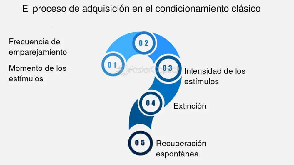 Misterios del estímulo incondicionado: una guía esencial