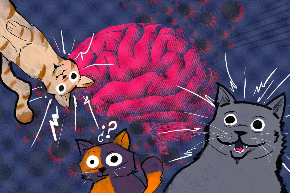 Parásito Toxoplasmosis: Influencia Mental Trastornos y Suicidios