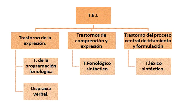 Profundizando en el Trastorno Fonológico-Sintáctico
