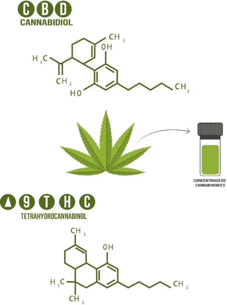 Cannabinol: solución efectiva para problemas de sueño