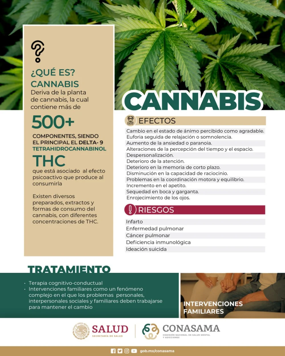 Guía sobre el tratamiento psicológico para la adicción al cannabis