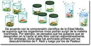 Origen y desarrollo de la teoría de la biogénesis