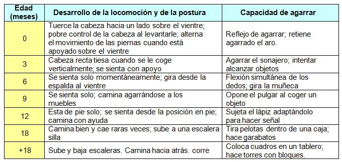 Clave del desarrollo psicomotor en la infancia