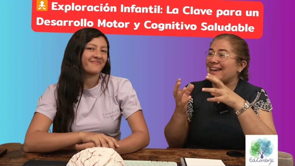 Clave para el desarrollo neurocognitivo infantil saludable