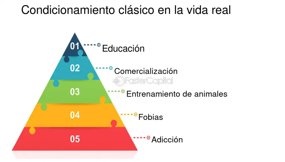 Comprendiendo la Teoría de Sustitución de Estímulos de Pavlov