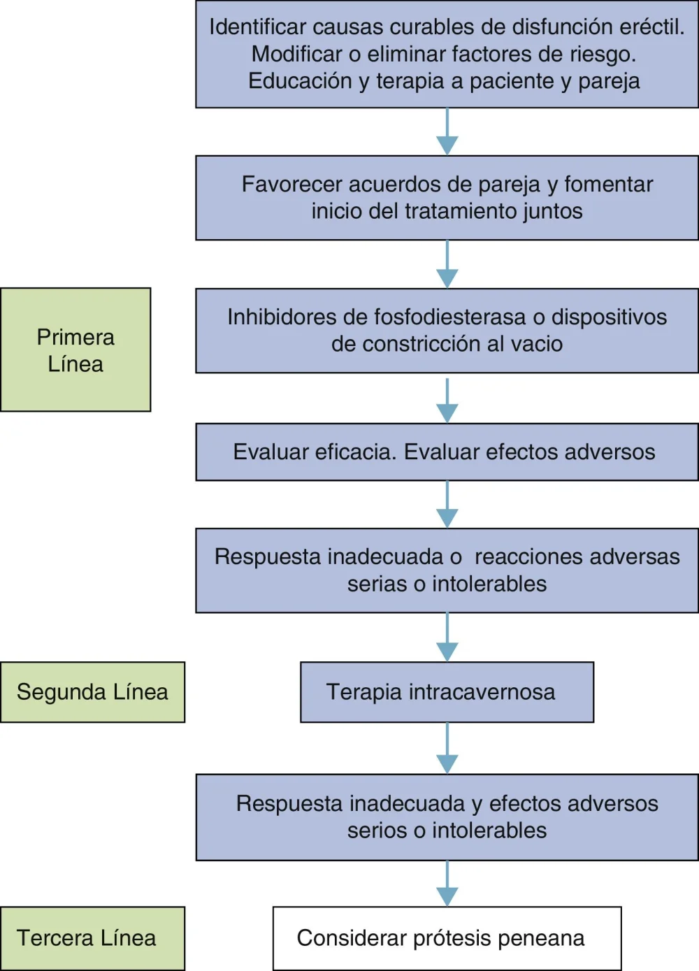 Guía Completa sobre la Disfunción Eréctil e Impotencia