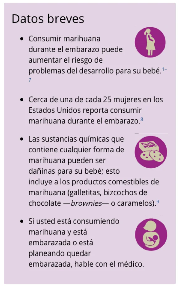 Impacto del cannabis en el embarazo: Por qué evitarlo