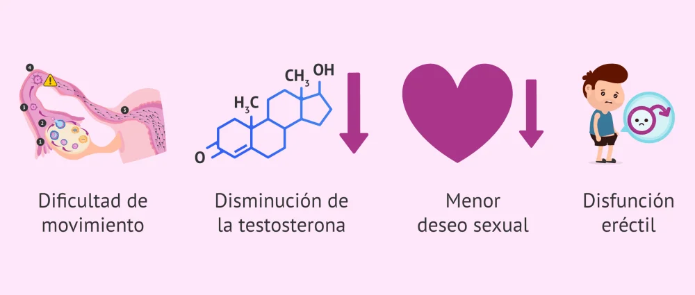 Consumo de cannabis afecta negativamente la vida sexual masculina