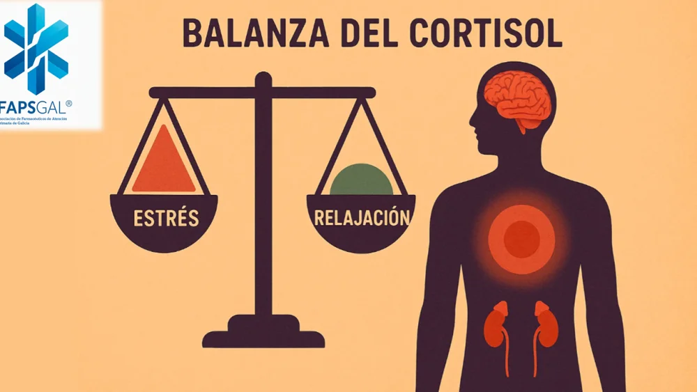 Impacto del cortisol al despertar en tu bienestar diario