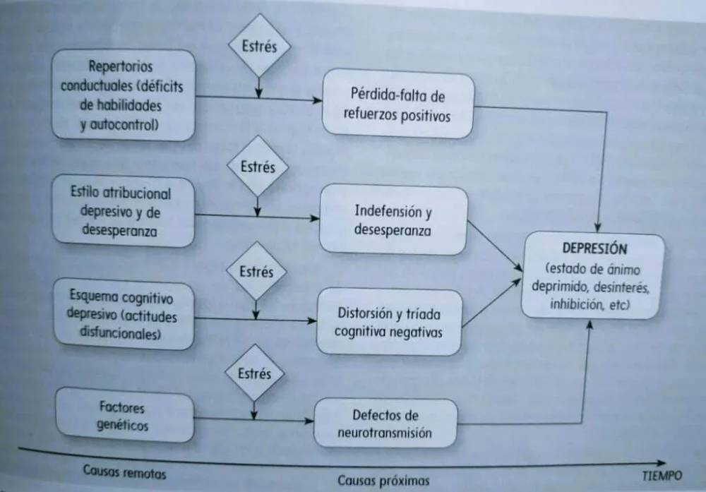 Teoría de la Desesperanza: Perspectivas sobre la Depresión