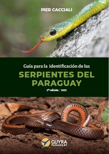 Teoría sobre Identificación de Serpientes