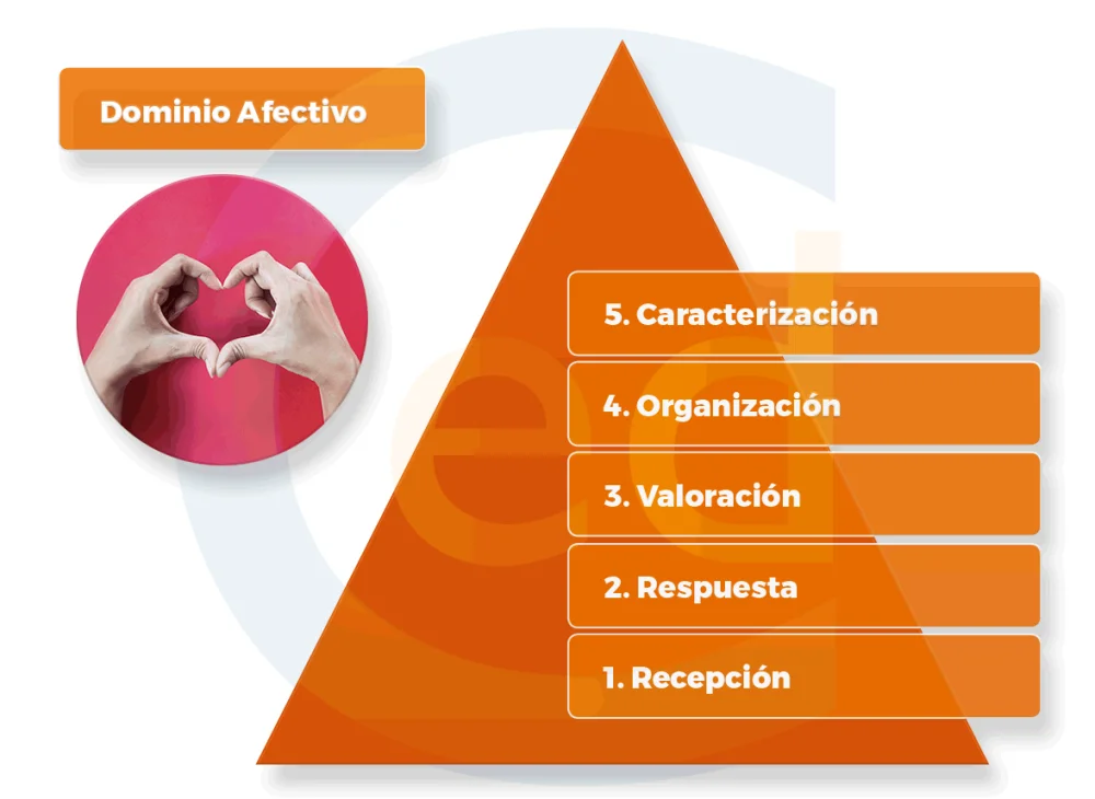 Dominio efectivo de tus emociones