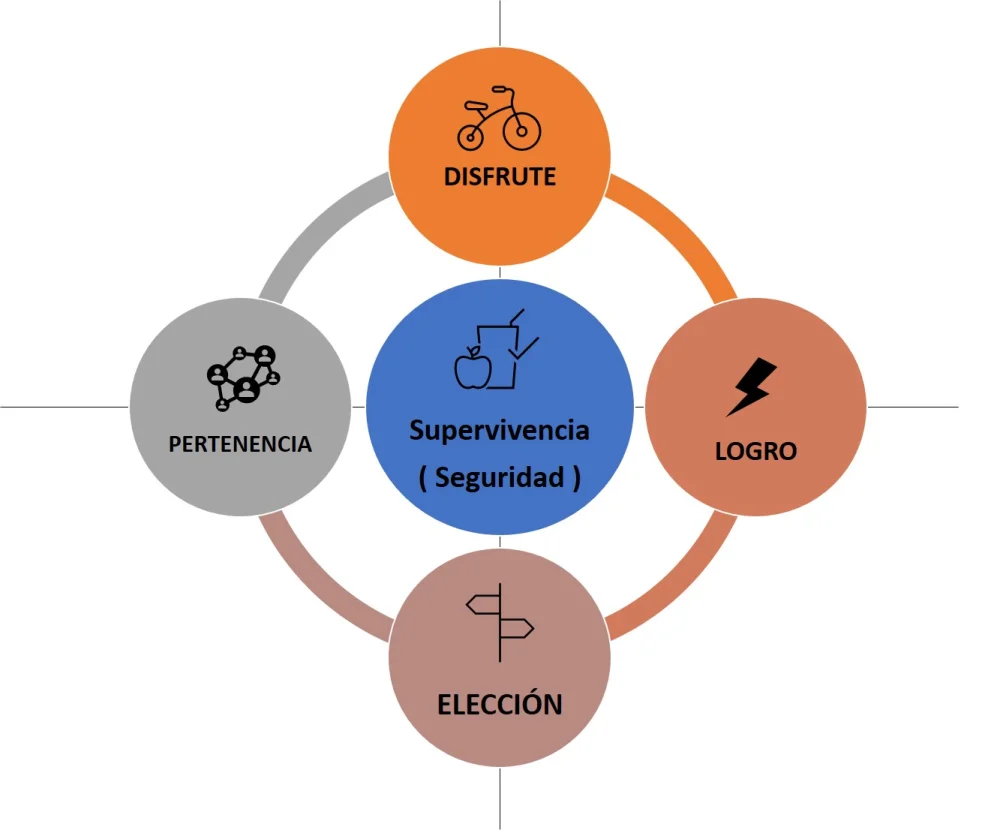 Fundamentos de la Teoría de la Elección de William Glasser
