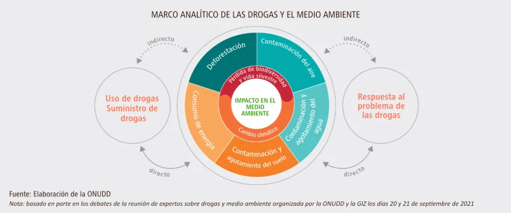 Impacto y desafíos del consumo de drogas