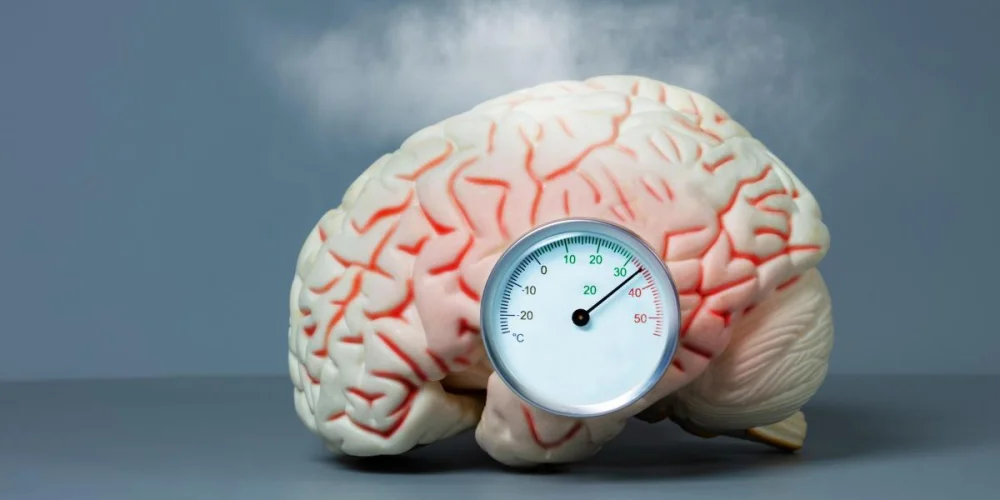Problemas vasculares aceleran el envejecimiento cerebral