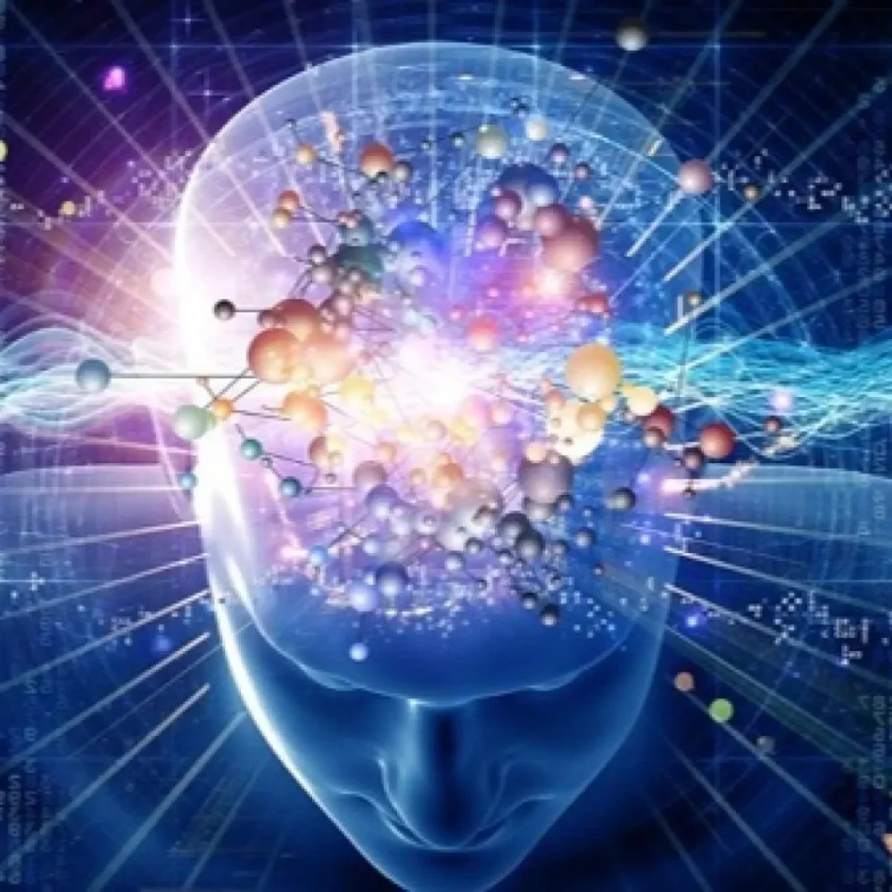 Secretos del Cerebro Humano: Documentales Reveladores