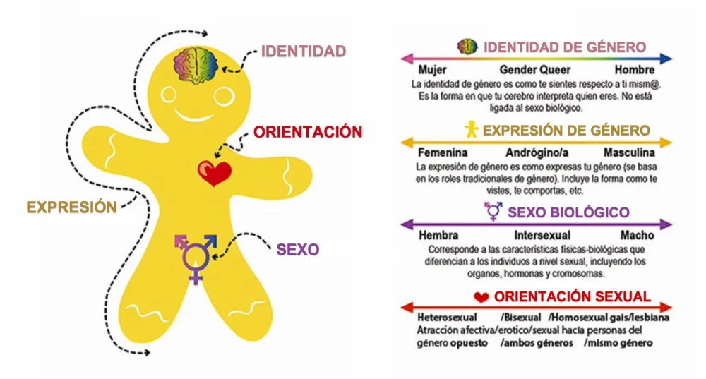 Variedad Sexual: Orientaciones e Identidades de Género